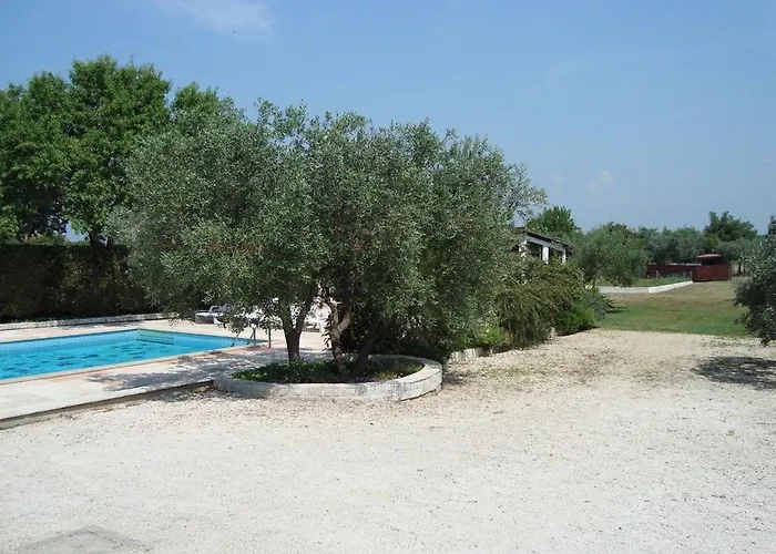 Apartament Branka *